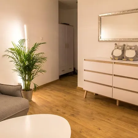 公寓 Brzezicki Apartament Centrum
