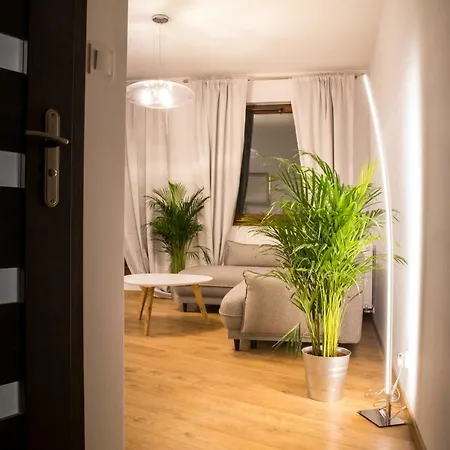 Brzezicki Apartament Centrum 公寓