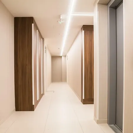 Brzezicki Apartament Centrum 公寓 *